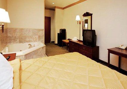 Hotel Spark By Hilton Boston